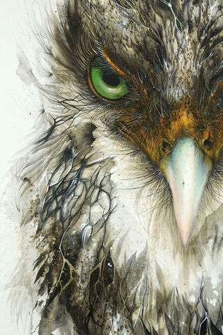 Majestic Gaze: The Adlerbild