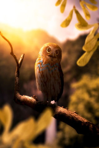 Celestial Guardian: The Aquarius Owl 🌌🦉