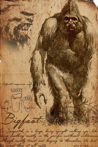 The Legend of Bigfoot: Myth or Reality? 🦶🌲