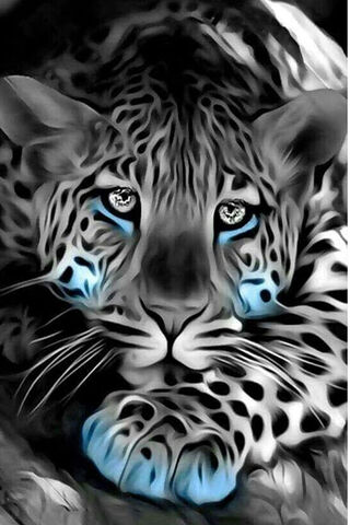 Mystical Gaze of the Bby Tiger 🐯✨