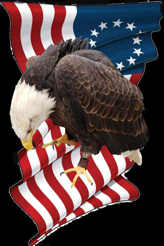 Betsy Ross Eagle