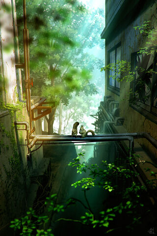 Whispers of Serenity