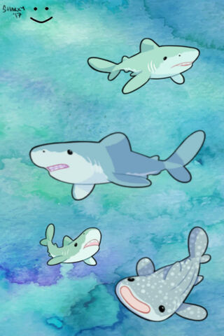 Adorable Ocean Predators 🦈💙