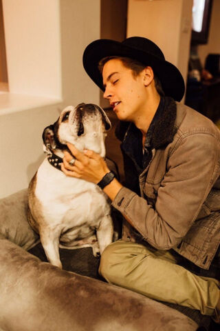 Cole Sprouse: A Heartwarming Moment with His Furry Friend 🐶❤️