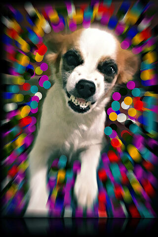 Joyful Pup: The Art of Canine Happiness! 🐶✨