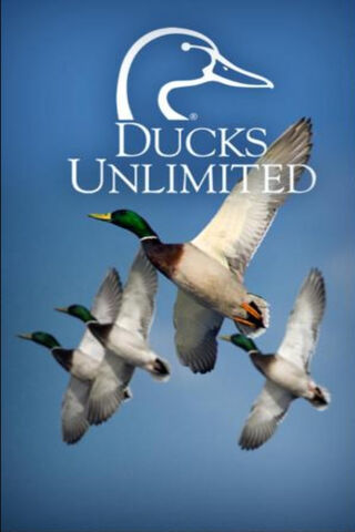 Ducks Unlimited Wallpaper - Download to your mobile from PHONEKY