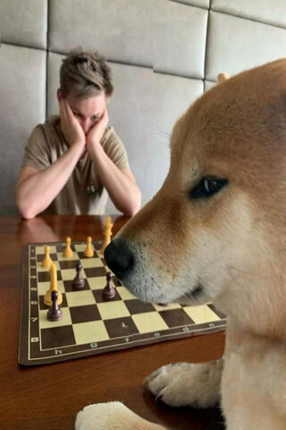 Checkmate? Not Today! 🐶♟️