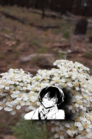 Whispers of Nature: Dazai Osamu Among the Blossoms 🌼✨