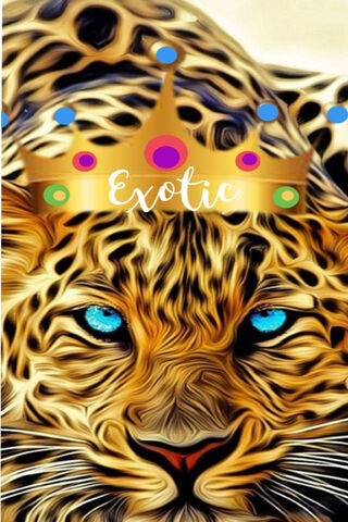 Majestic Monarch of the Jungle 🐅👑