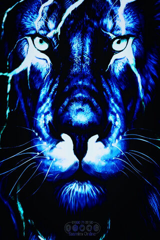 Embrace the Wild Within 🐾✨