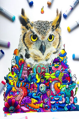 Owl's Colorful Kingdom 🎨🦉