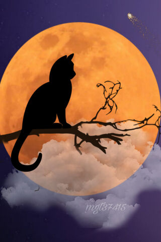 Whiskers Under the Harvest Moon 🌕🐾