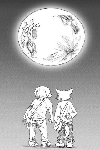 Under the Moonlight: A Night of Friendship 🌙🐾