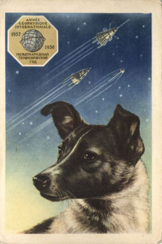 Laika The Space Dog