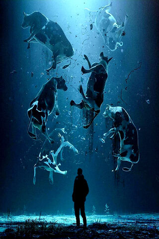 Beneath the Surface: The Floating Cows of Moath Bataineh