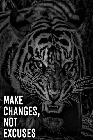 Unleash Your Inner Strength: Make Changes, Not Excuses! 🐅💪