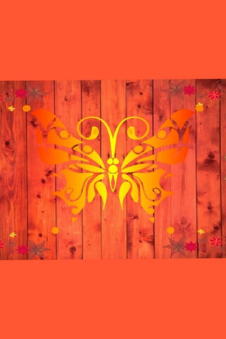 Sunset Serenade: The Orange Butterfly