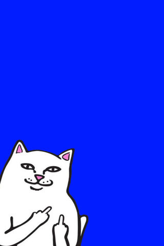 Ripndip's Cheeky Cat on Bold Blue