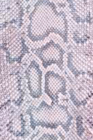 Nature's Intricate Design: The Beauty of Snake Skin 🐍✨