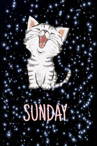 Joyful Sunday Vibes 🌟🐾