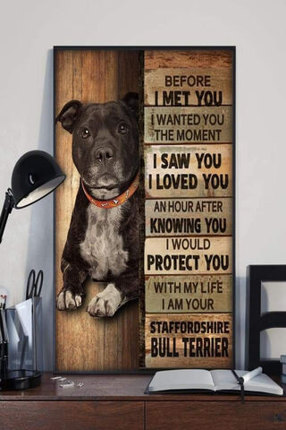 Loyal Love: The Heart of a Staffy ❤️🐾