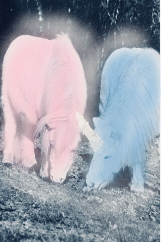 Magical Unicorn Duo 🌈✨