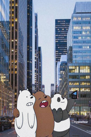 We Bare Bears