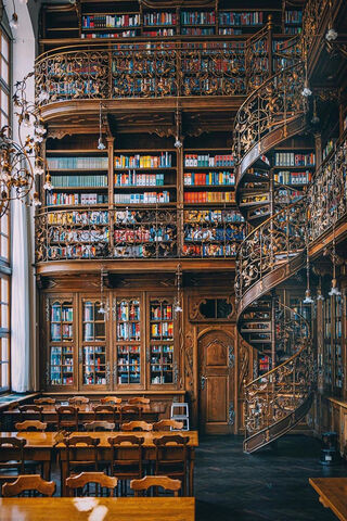 Whispers of Knowledge: A Timeless Library Retreat 📚✨