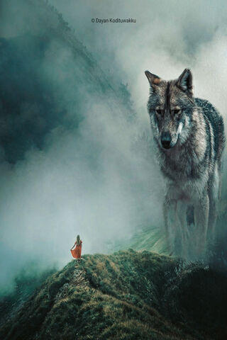 The Guardian of the Misty Mountains 🌫️🐺