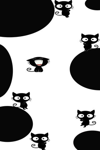 Whimsical Whiskers: A Playful Cat Adventure! 🐾