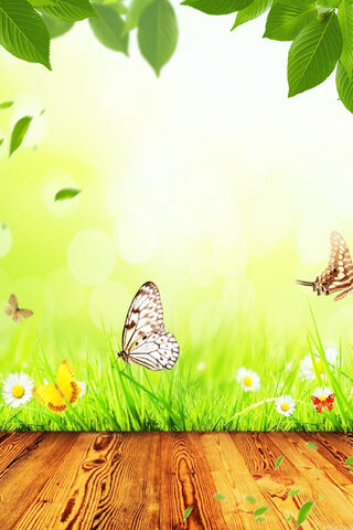 Enchanted Butterfly Haven 🦋🌼