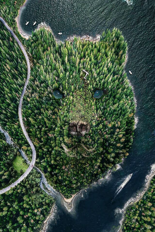 Bear Island: Nature's Majestic Embrace 🐻🌲