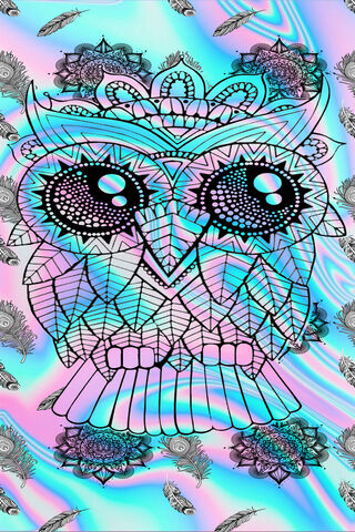 Buho's Dreamy Dance 🌈🦉