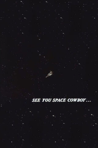 Farewell to the Stars: A Cowboy's Journey