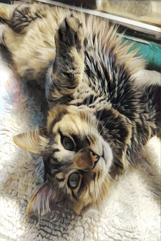 Chester the Cat: The Purr-fect Pose! 🐾