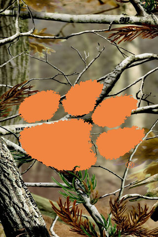 Clemson Camo: Nature Meets Spirit 🐾🍂
