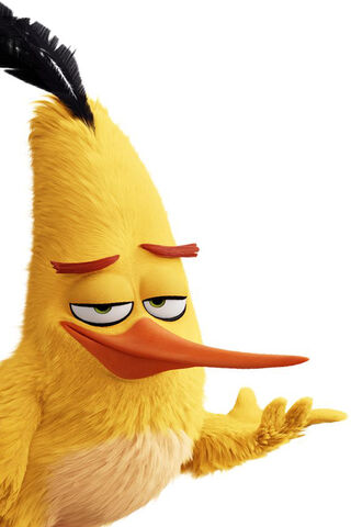 Cheeky Chirps: The Witty Yellow Bird! 🐦😄