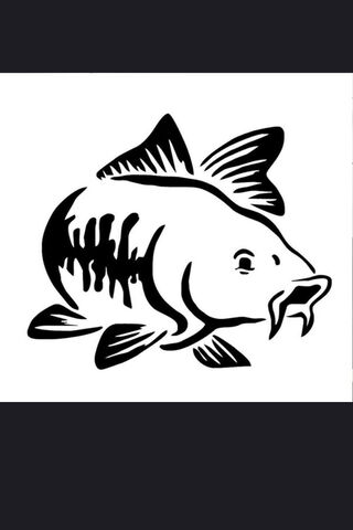 The Art of the Fish: A Bold Design