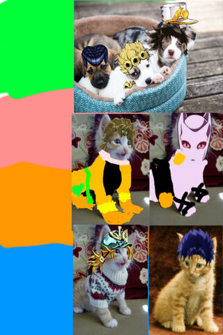 JoJo's Pawsome Adventure! 🐾✨