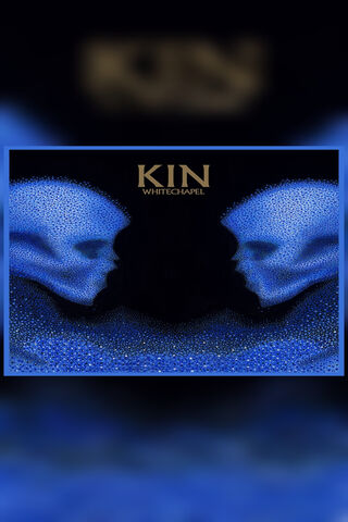 Kin: A Cosmic Connection