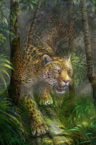 Leopard And Forest