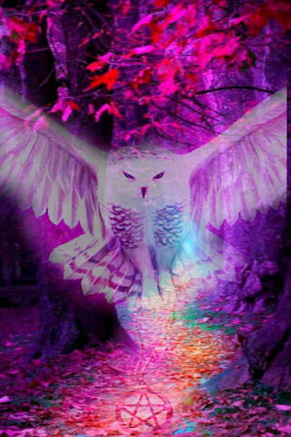 Enchanted Flight of the Mystic Owl 🦉✨