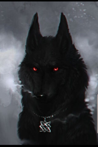 Red Eyed Wolf