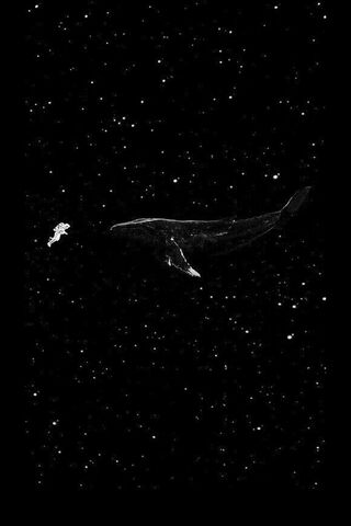 Cosmic Whales: A Journey Through the Stars 🌌🐋