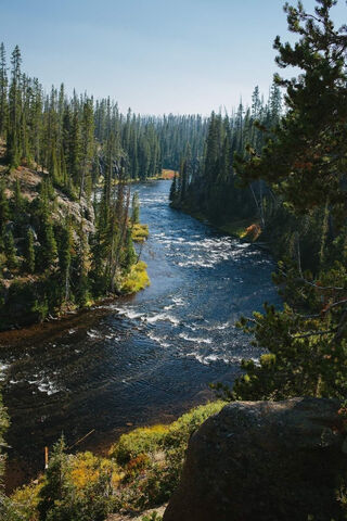 Serenity of the Snake River 🌊🌲