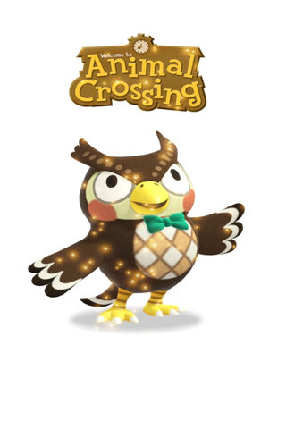 Wisdom Takes Flight: Socrates the Owl 🦉✨