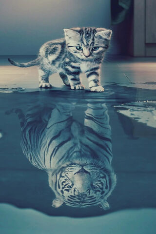 Tiny Tiger, Majestic Reflection 🐾✨