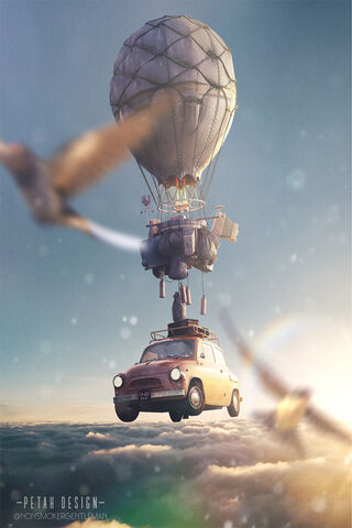 Skyward Dreams: A Journ..