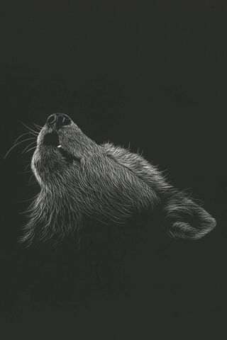 Howling at the Moon 🌕🐺