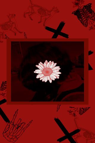 Crimson Blossom: A Touch of Elegance 🌼❤️